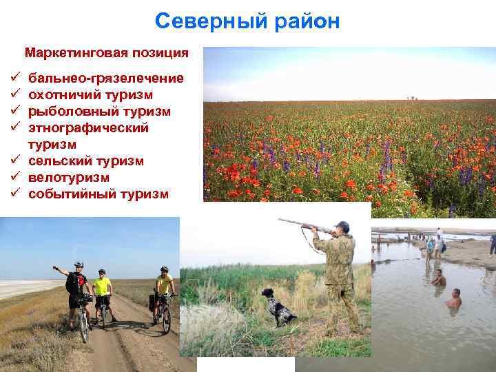Северный район Маркетинговая позиция ü ü бальнео-грязелечение охотничий туризм рыболовный туризм этнографический туризм ü