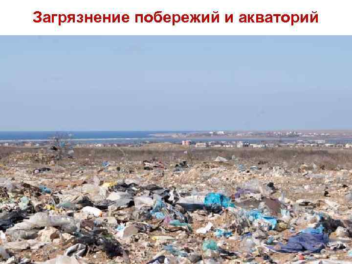 Загрязнение побережий и акваторий 