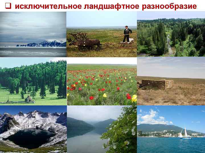 q исключительное ландшафтное разнообразие 