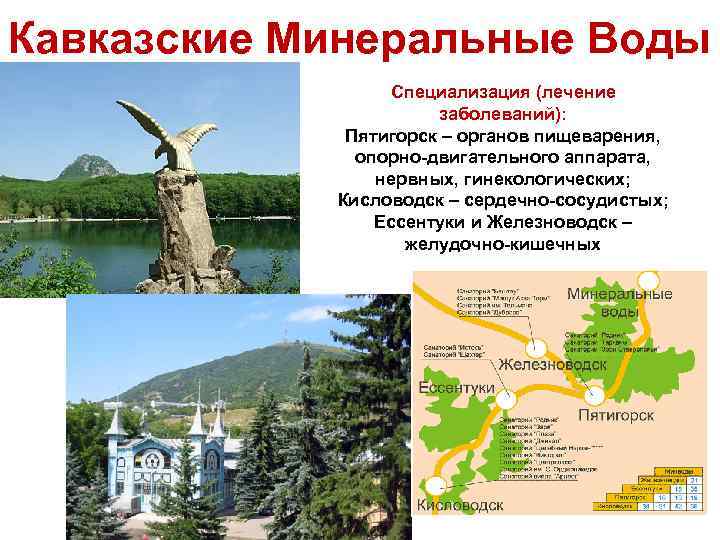 Кавказские Минеральные Воды Специализация (лечение заболеваний): Пятигорск – органов пищеварения, опорно-двигательного аппарата, нервных, гинекологических;