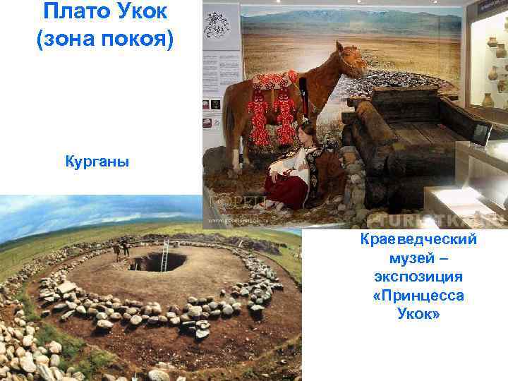 Плато Укок (зона покоя) Курганы Краеведческий музей – экспозиция «Принцесса Укок» 