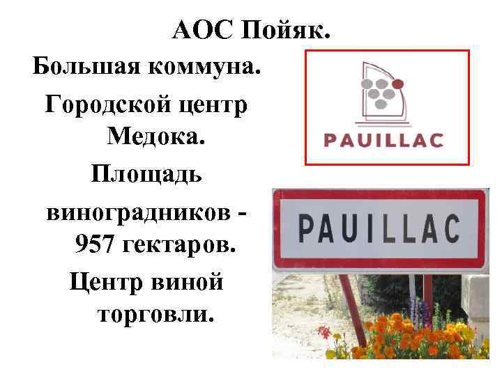 АОС Пойяк. Большая коммуна. Городской центр Медока. Площадь виноградников 957 гектаров. Центр виной торговли.