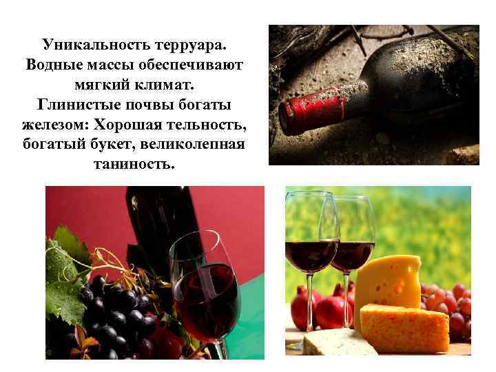 Уникальность терруара. Водные массы обеспечивают мягкий климат. Глинистые почвы богаты железом: Хорошая тельность, богатый