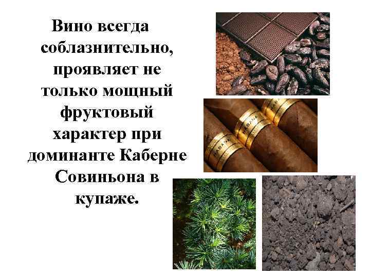 Вино всегда соблазнительно, проявляет не только мощный фруктовый характер при доминанте Каберне Совиньона в