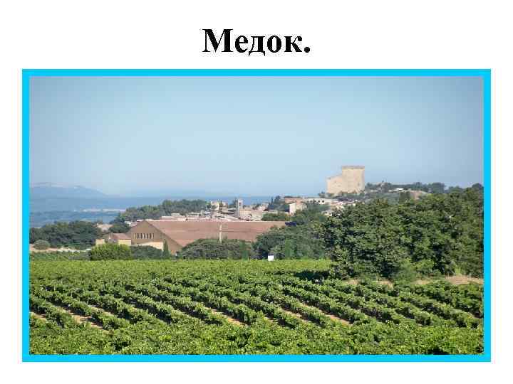 Медок. 