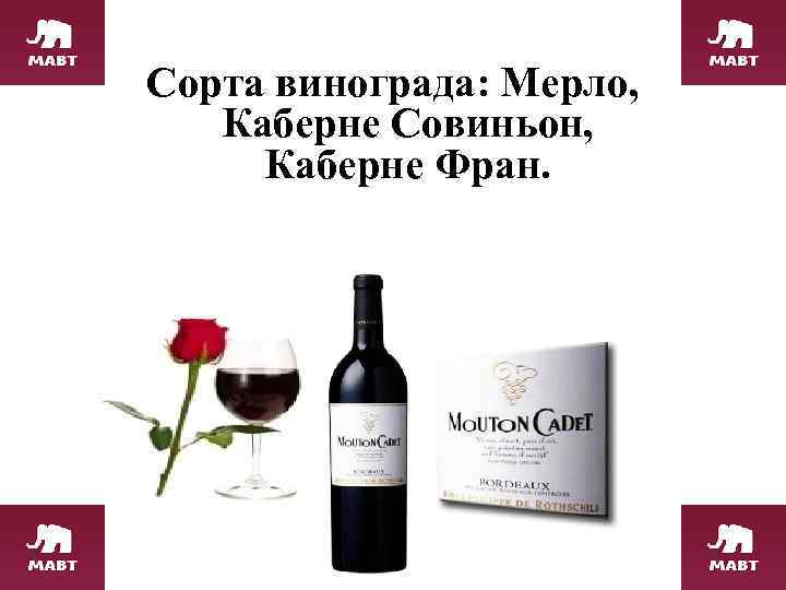 Сорта винограда: Мерло, Каберне Совиньон, Каберне Фран. 