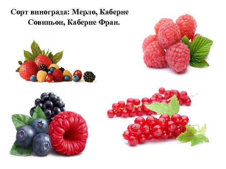 Сорт винограда: Мерло, Каберне Совиньон, Каберне Фран. 