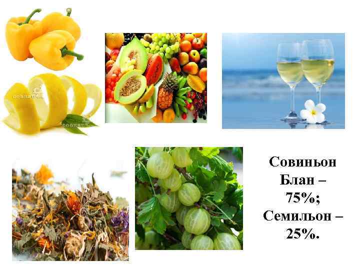 Совиньон Блан – 75%; Семильон – 25%. 