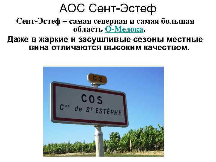 АОС Сент-Эстеф – самая северная и самая большая область О-Медока. Даже в жаркие и