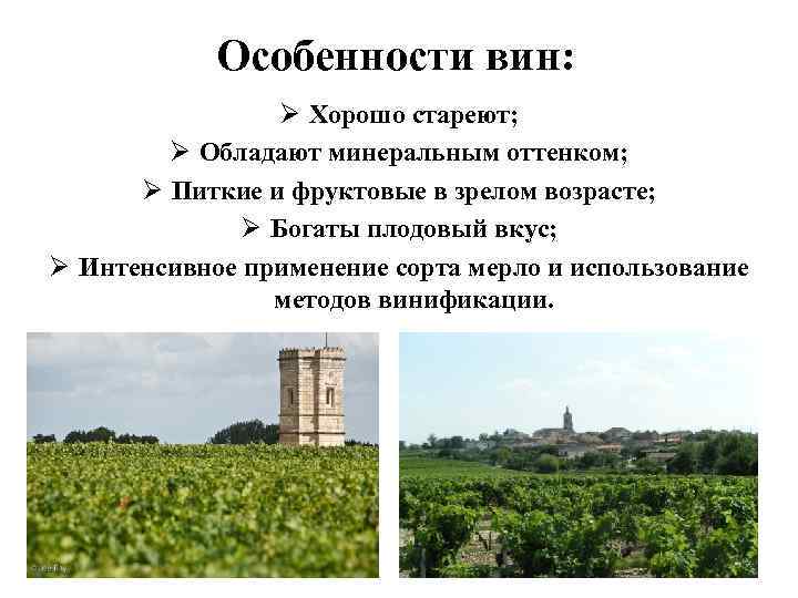 Особенности вин: Ø Хорошо стареют; Ø Обладают минеральным оттенком; Ø Питкие и фруктовые в
