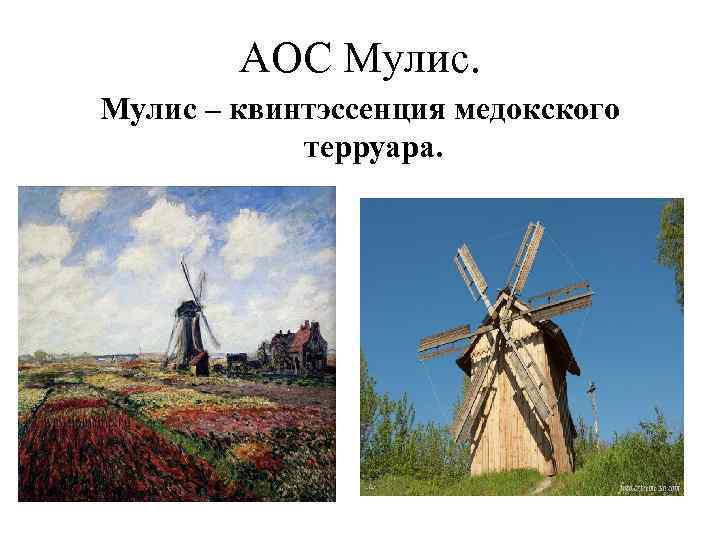 АОС Мулис – квинтэссенция медокского терруара. 