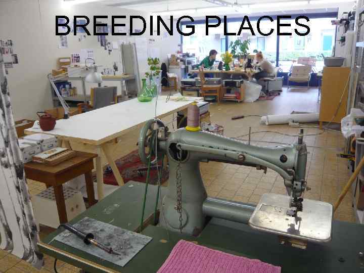 BREEDING PLACES 