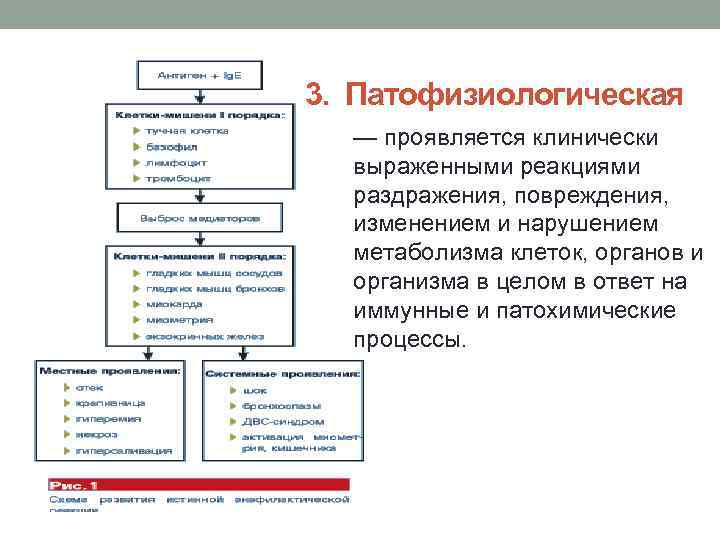 3.  Патофизиологическая — проявляется клинически выраженными реакциями раздражения, повреждения, изменением и нарушением метаболизма клеток,