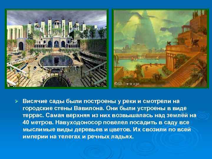 Ø Висячие сады были построены у реки и смотрели на городские стены Вавилона. Они