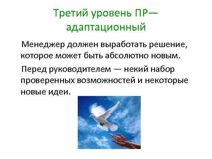 Третий уровень ПР— адаптационный Менеджер должен выработать решение, которое может быть абсолютно новым. Перед