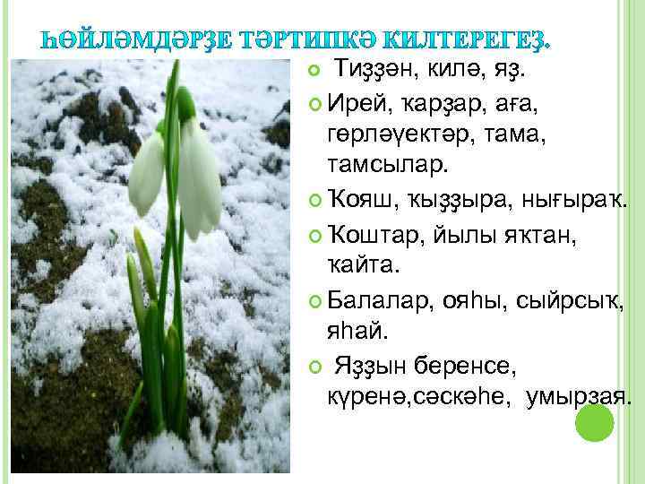 Тиҙҙән, килә, яҙ. Ирей, ҡарҙар, аға, гөрләүектәр, тама, тамсылар. Ҡояш, ҡыҙҙыра, нығыраҡ. Ҡоштар, йылы