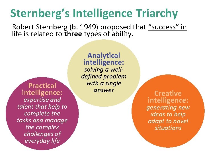 Sternberg’s Intelligence Triarchy Robert Sternberg (b. 1949) proposed that “success” in life is related