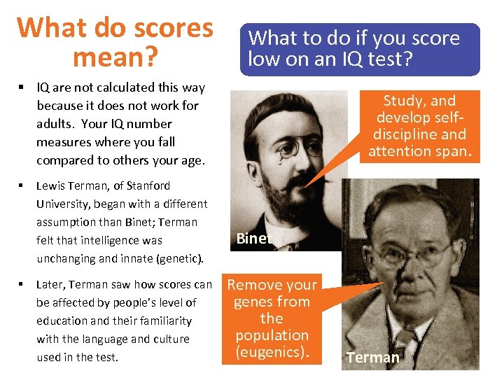 What do scores mean? What to do if you score low on an IQ