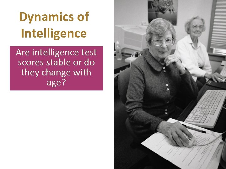 Dynamics of Intelligence Are intelligence test scores stable or do they change with age?