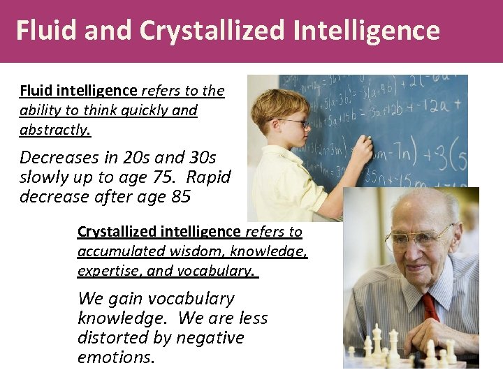 Fluid and Crystallized Intelligence Fluid intelligence refers to the ability to think quickly and