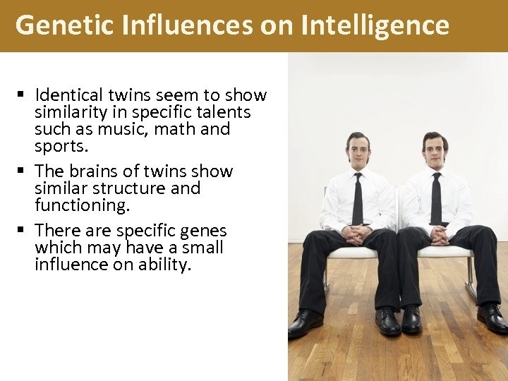 Genetic Influences on Intelligence § Identical twins seem to show similarity in specific talents