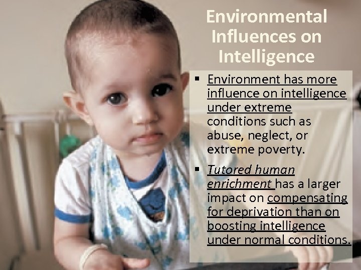 Environmental Influences on Intelligence § Environment has more influence on intelligence under extreme conditions