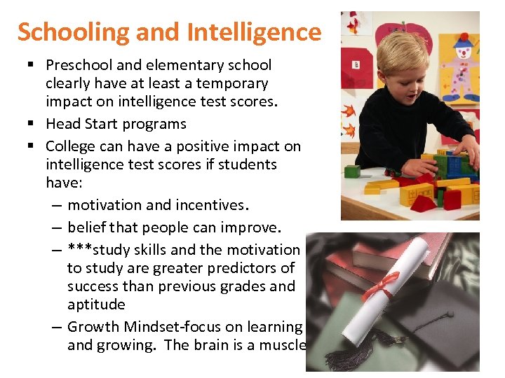 Schooling and Intelligence § Preschool and elementary school clearly have at least a temporary