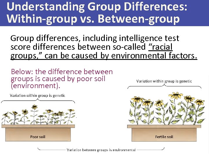 Understanding Group Differences: Within-group vs. Between-group Group differences, including intelligence test score differences between