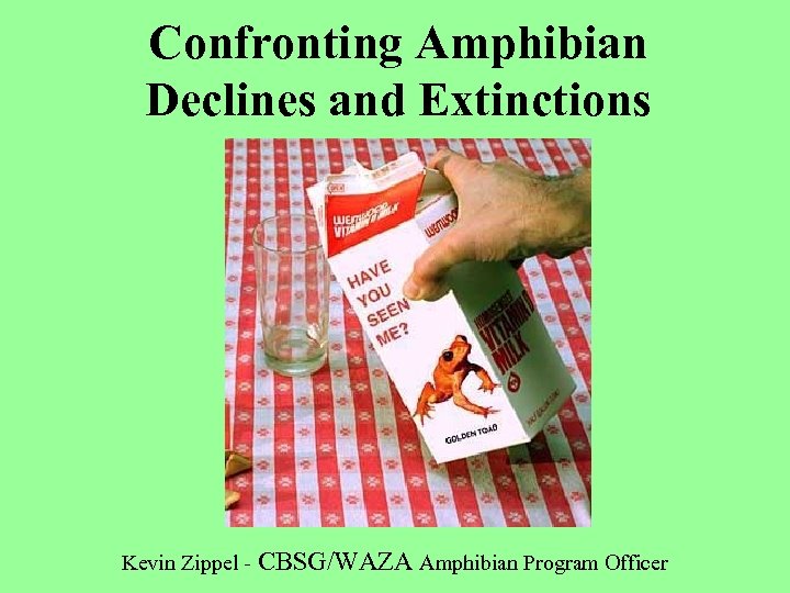 Confronting Amphibian Declines and Extinctions Kevin Zippel - CBSG/WAZA Amphibian Program Officer 