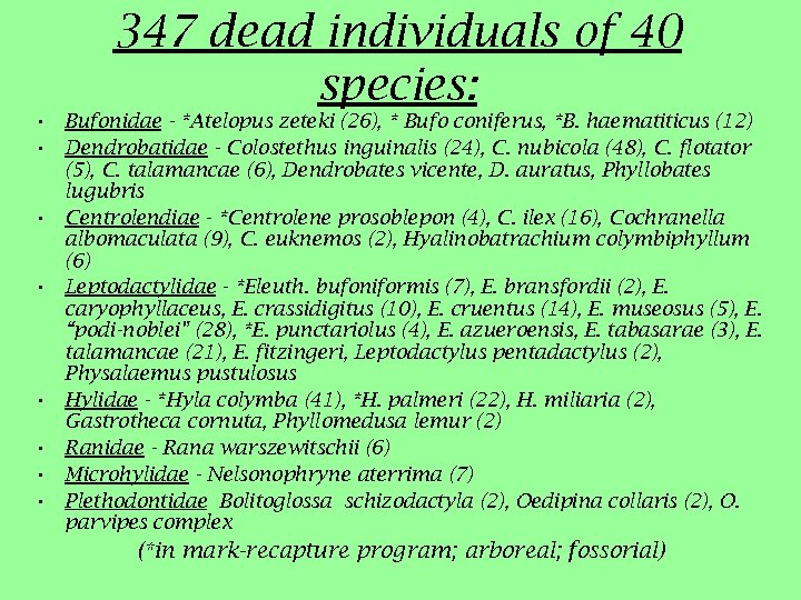 347 dead individuals of 40 species: • Bufonidae - *Atelopus zeteki (26), * Bufo