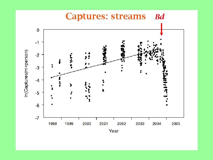 Captures: streams Bd 