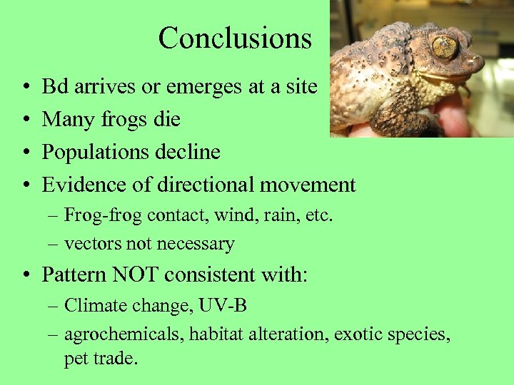Conclusions • • Bd arrives or emerges at a site Many frogs die Populations