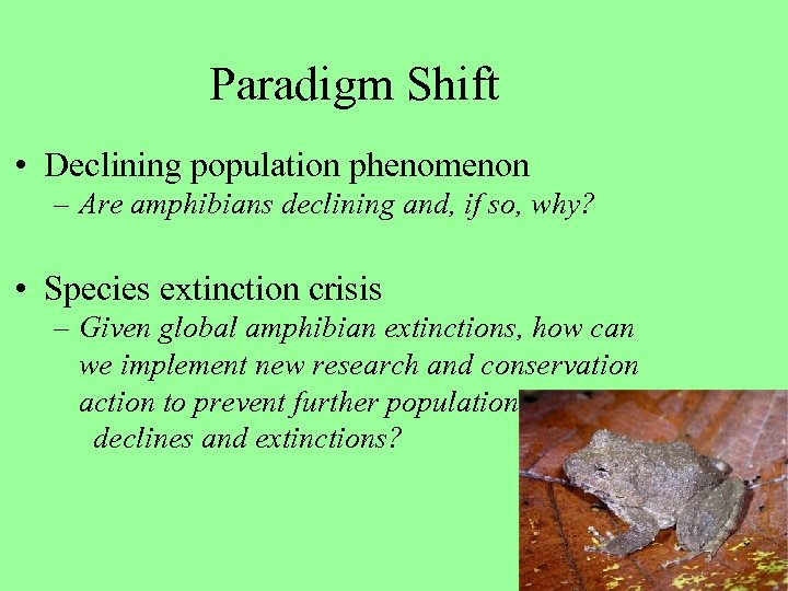 Paradigm Shift • Declining population phenomenon – Are amphibians declining and, if so, why?