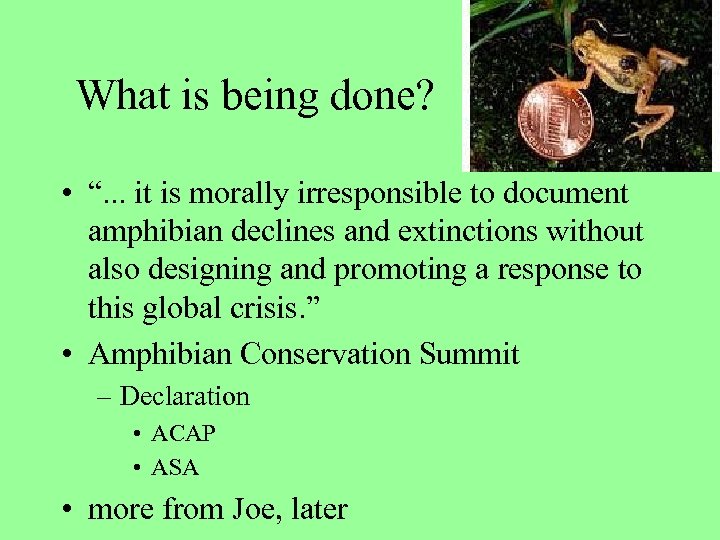 What is being done? • “. . . it is morally irresponsible to document