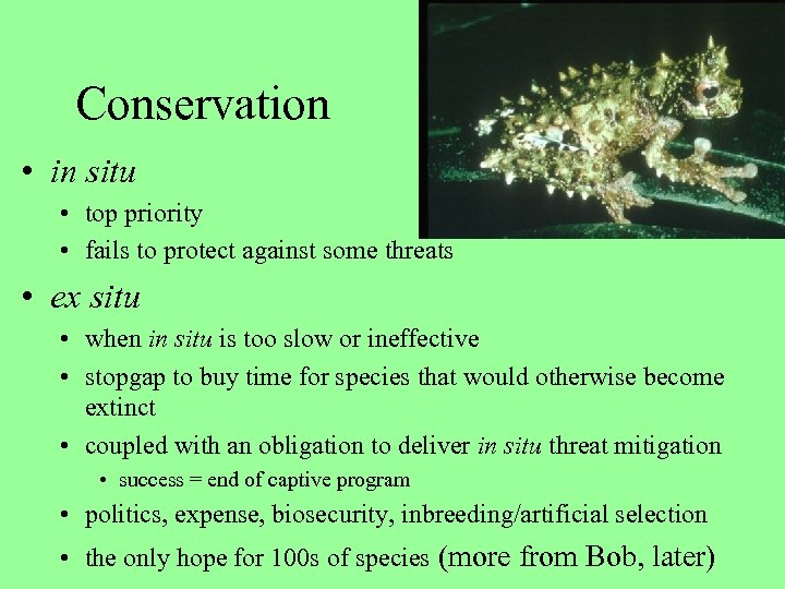 Conservation • in situ • top priority • fails to protect against some threats