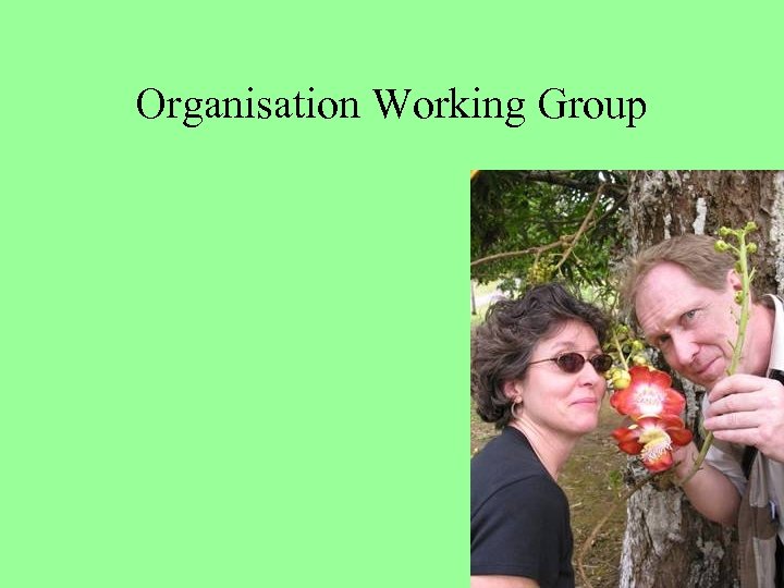 Organisation Working Group 