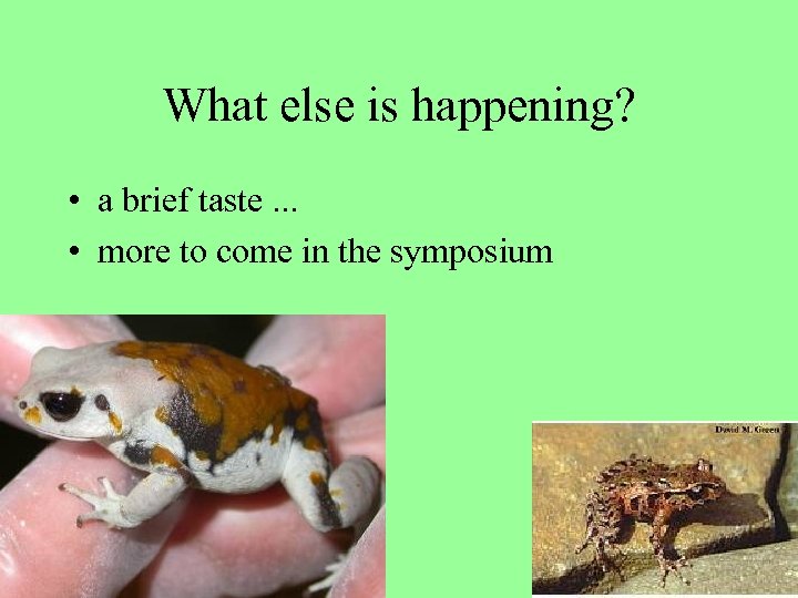 What else is happening? • a brief taste. . . • more to come