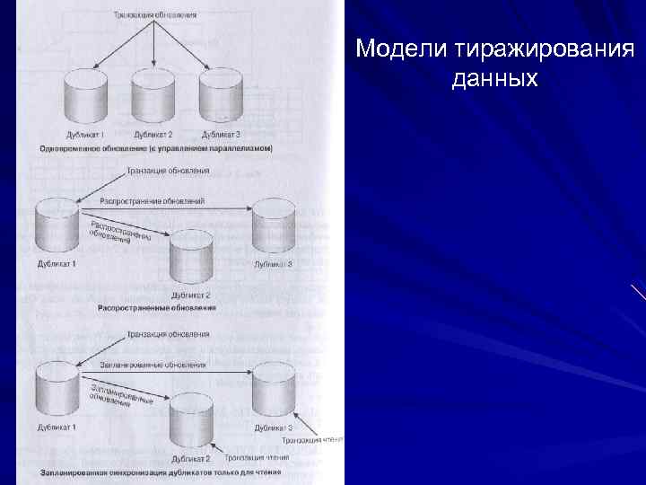 Возможность тиражирования проекта