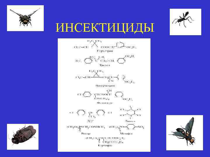 ИНСЕКТИЦИДЫ 