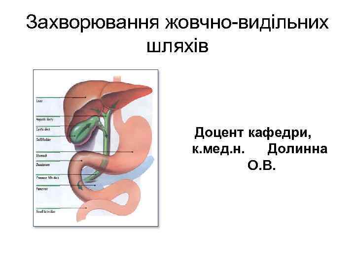 Захворювання жовчно-видільних шляхів Доцент кафедри, к. мед. н. Долинна О. В. 