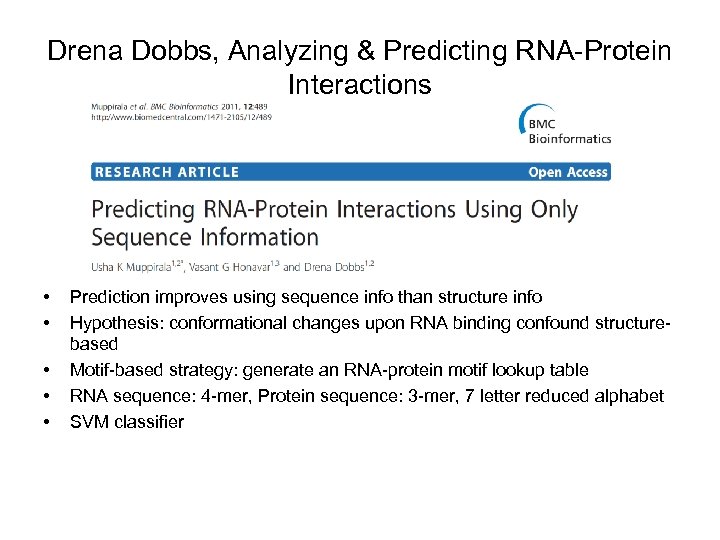 Drena Dobbs, Analyzing & Predicting RNA-Protein Interactions • • • Prediction improves using sequence