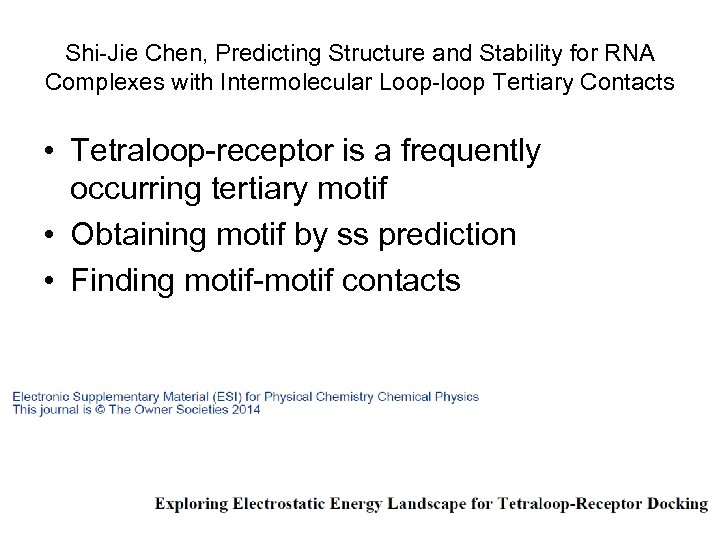 Shi-Jie Chen, Predicting Structure and Stability for RNA Complexes with Intermolecular Loop-loop Tertiary Contacts