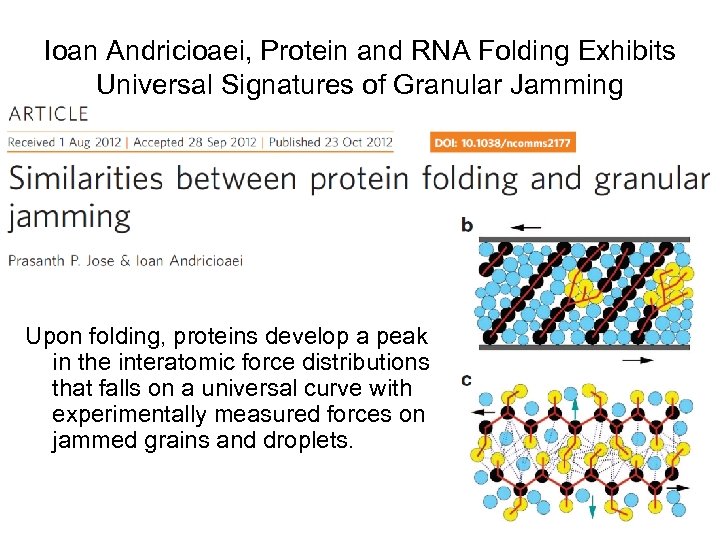 Ioan Andricioaei, Protein and RNA Folding Exhibits Universal Signatures of Granular Jamming Upon folding,