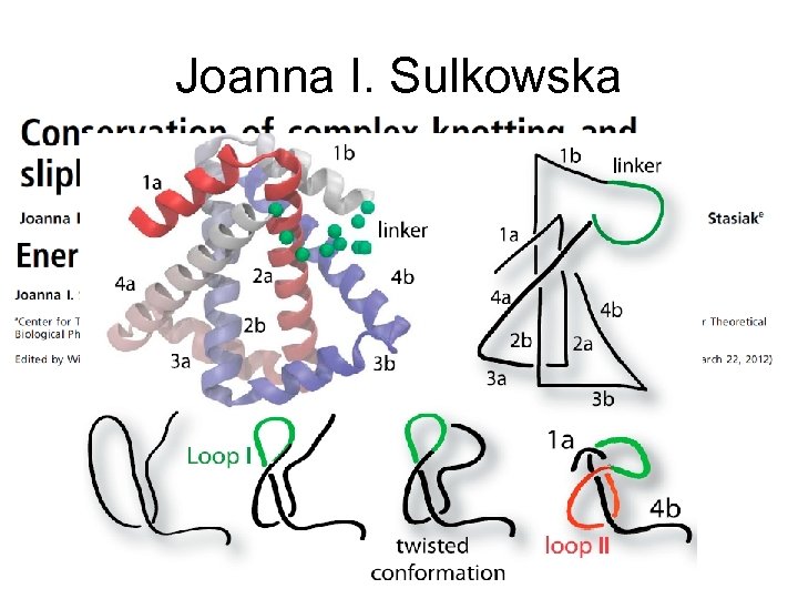 Joanna I. Sulkowska 