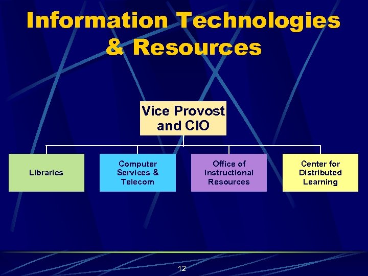 Information Technologies & Resources Vice Provost and CIO Libraries Computer Services & Telecom Office
