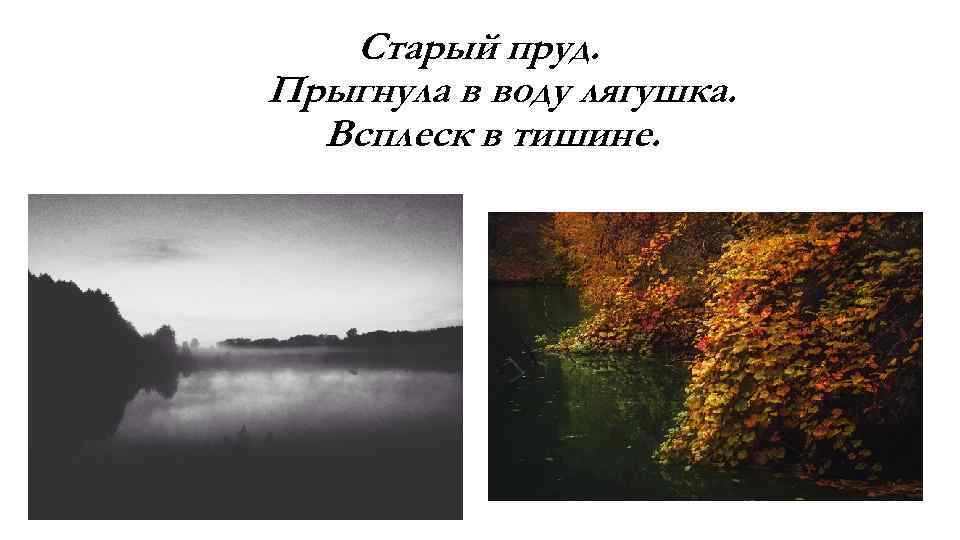 Старый пруд. Прыгнула в воду лягушка. Всплеск в тишине. 