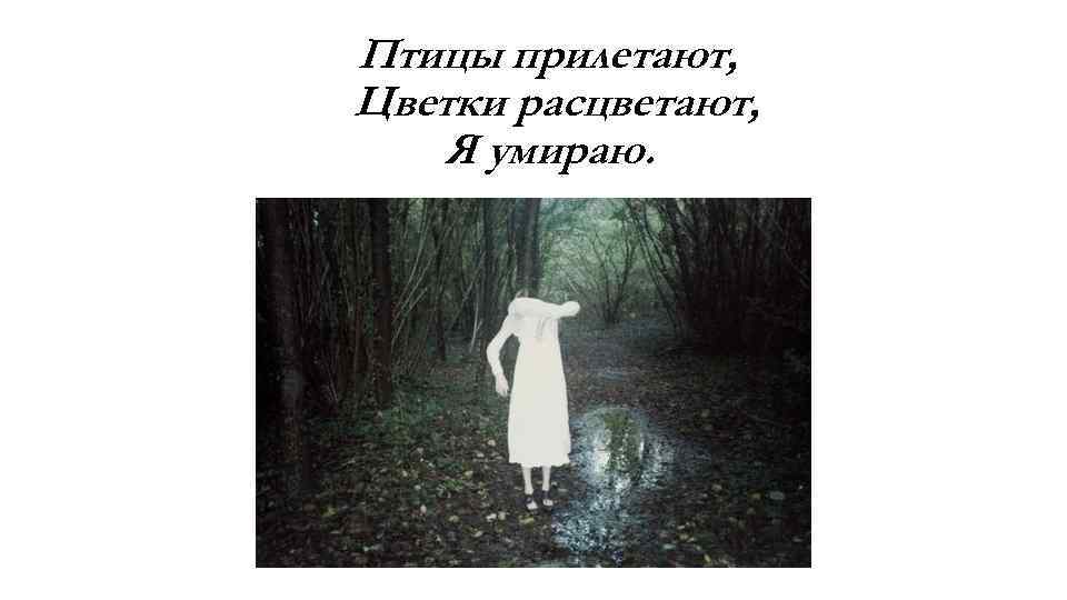 Птицы прилетают, Цветки расцветают, Я умираю. 