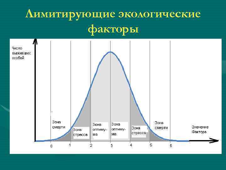Лимитирующие экологические факторы 