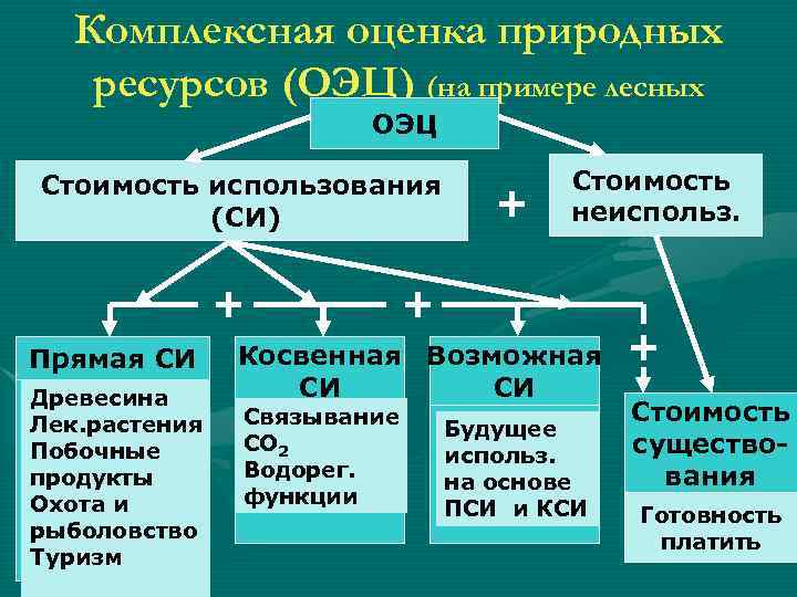 Комплексная оценка природных ресурсов (ОЭЦ) (на примере лесных ОЭЦ ресурсов) Стоимость использования (СИ) +