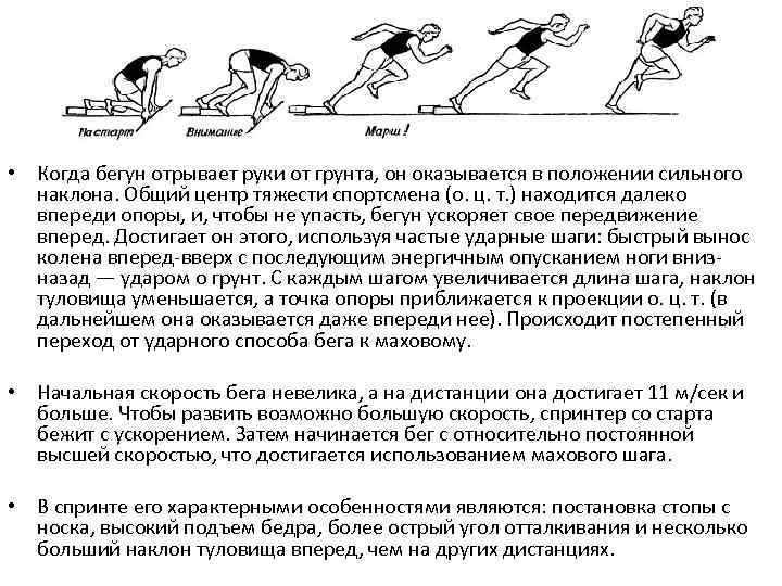  • Когда бегун отрывает руки от грунта, он оказывается в положении сильного наклона.